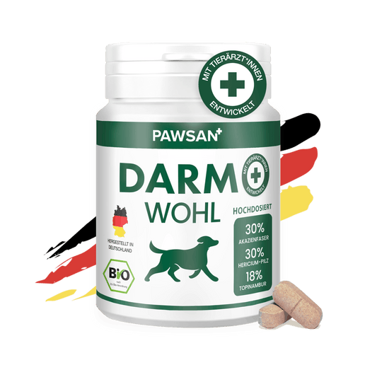 Darmwohl – 1er Pack