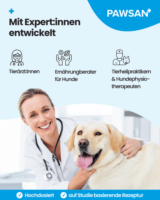 2er Pack - 200 Gelenktabletten Hund