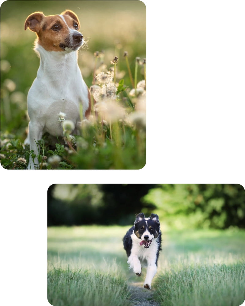 QUALITÄT MIT VERANTWORTUNG