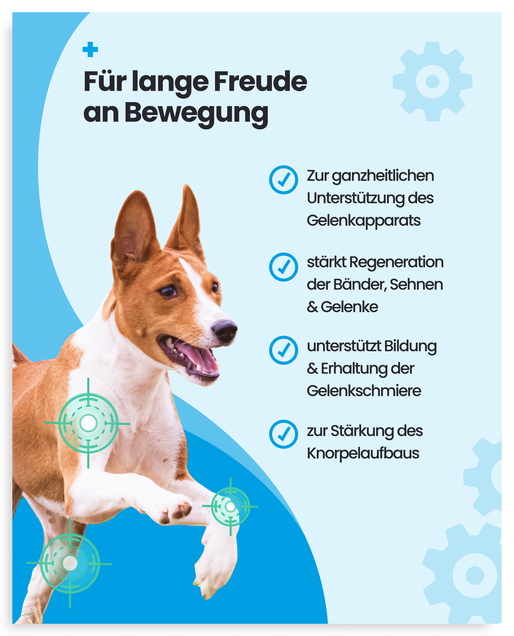 4er Pack - 400 Gelenktabletten Hund