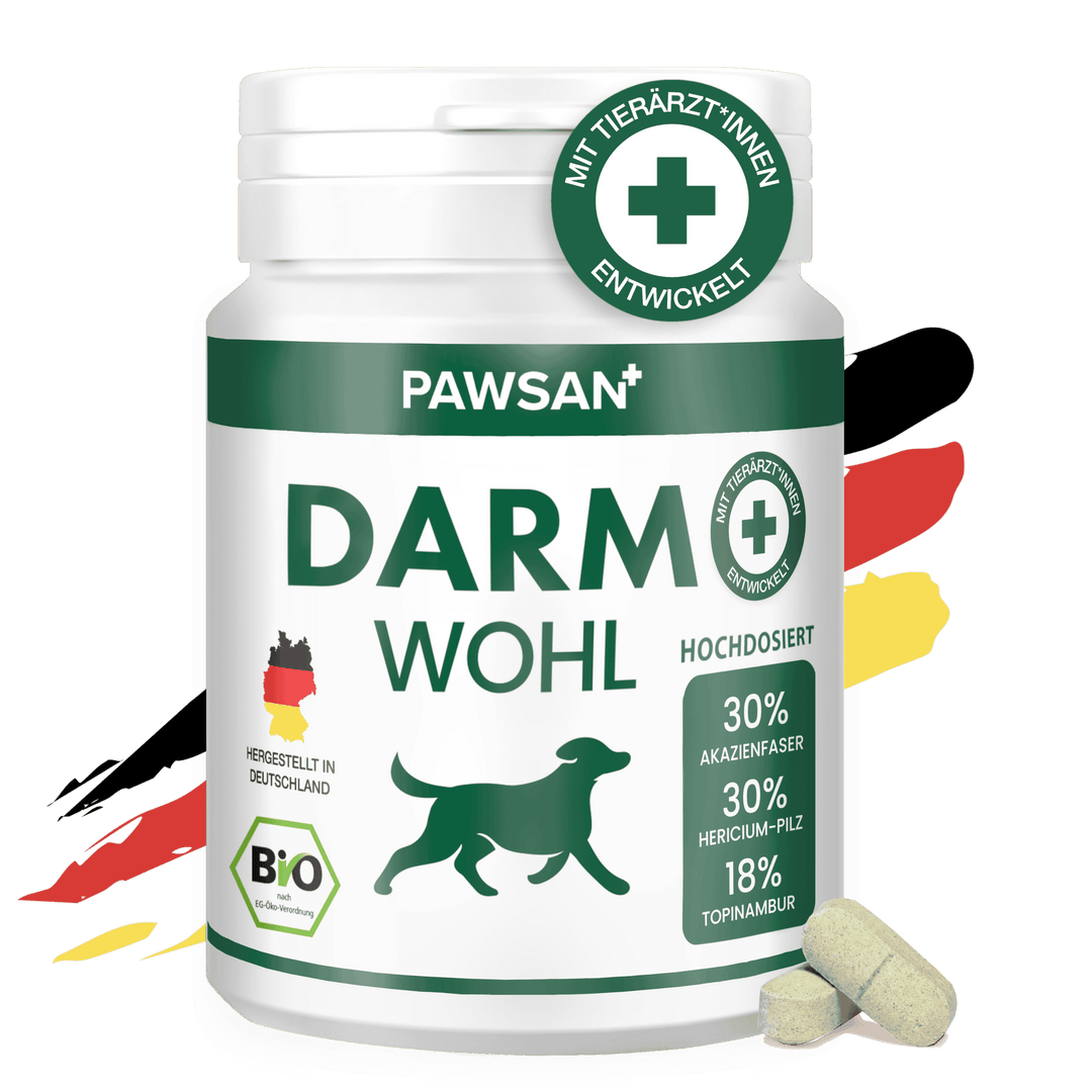 DARMWOHL
