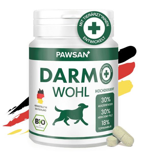 DARMWOHL