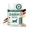 DARMWOHL