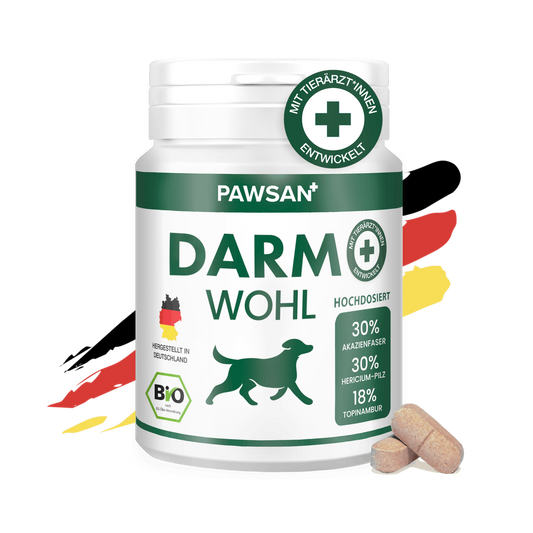 Darmwohl
