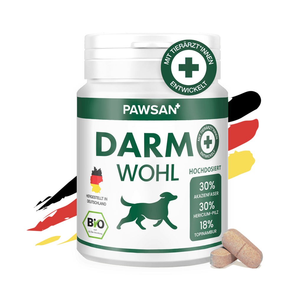 Darmwohl