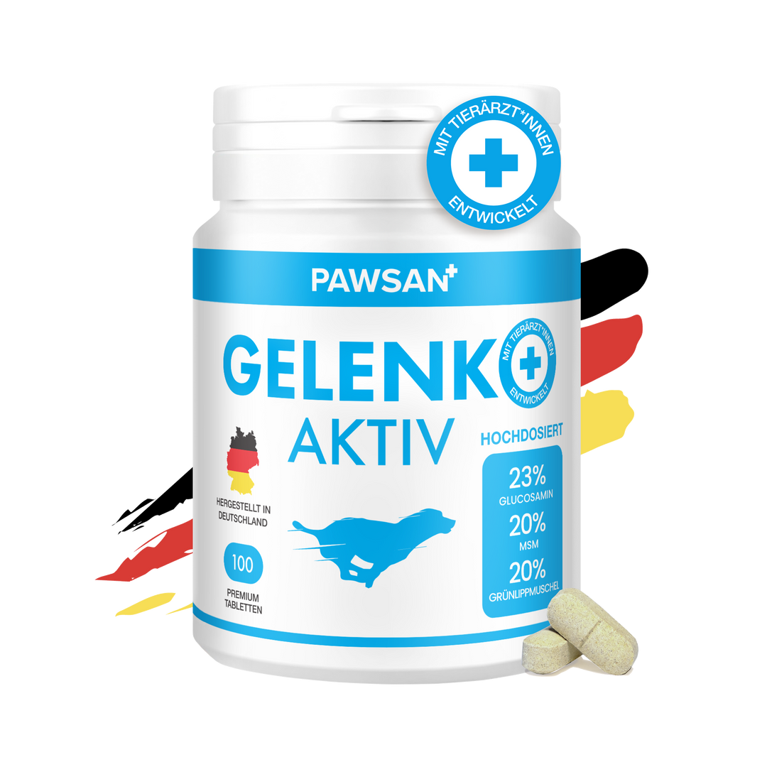 GELENK AKTIV